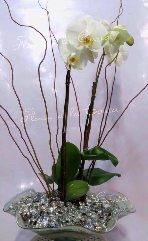 Arreglo de Orquideas AC 15